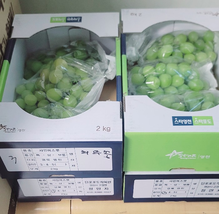 썸네일 이미지